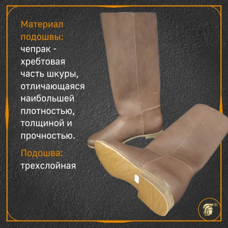 Сапиги четырехчастные 2