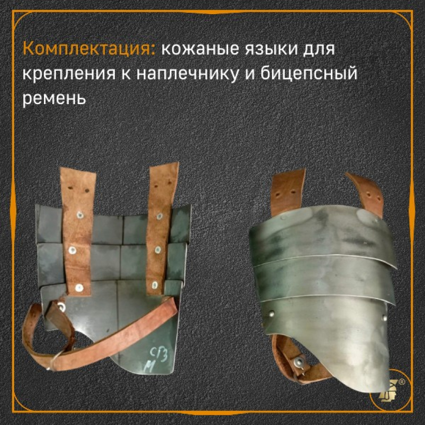 Брассары сегментные, пара 2